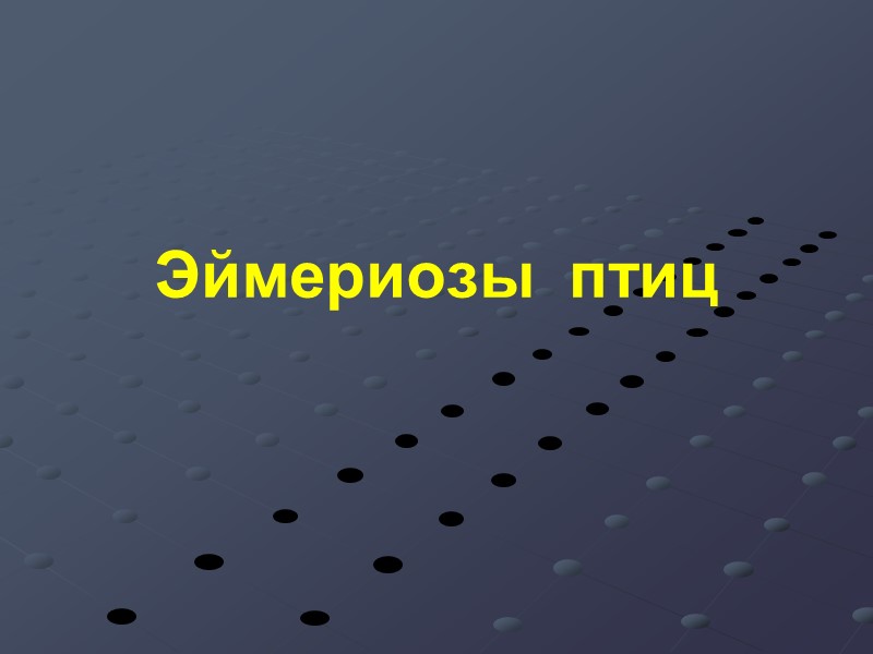 Эймериозы  птиц